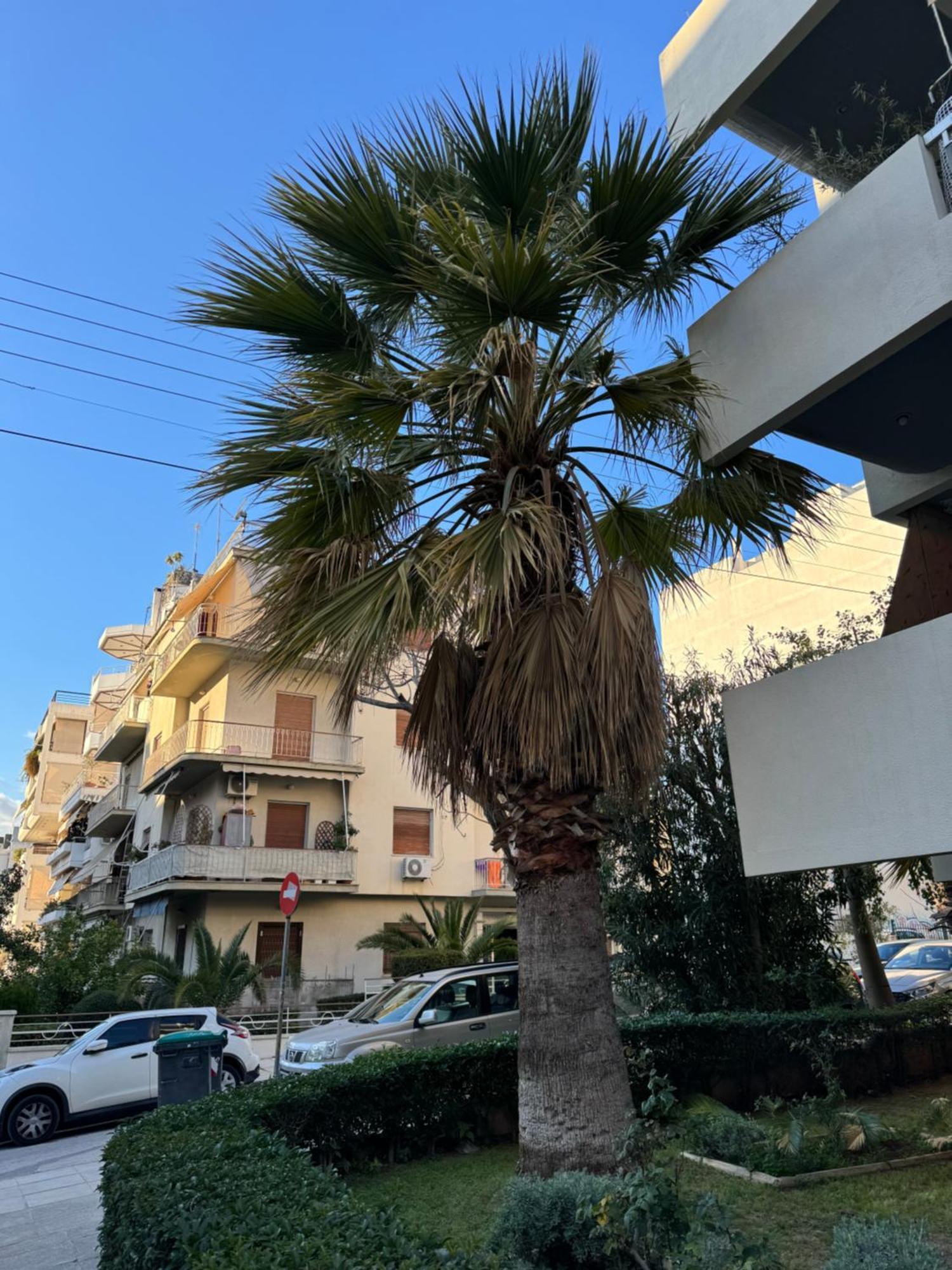 Cozy Home In Nea Smirni أثينا المظهر الخارجي الصورة